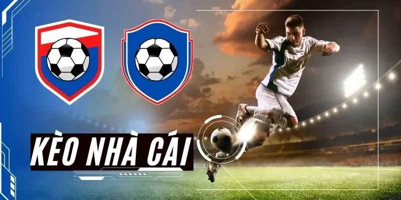 Cách đọc tỷ lệ kèo nhà cái Max88